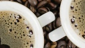 Melitta 1011-16 - image