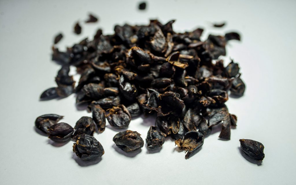 cascara séché café thé