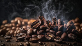 Découvrez les secrets de la torréfaction : Comment ces méthodes méconnues révolutionnent votre expérience café