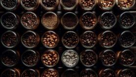 La caféine sous toutes ses formes Un tour d'horizon stimulant