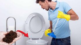 Marc de café : cet astuce à utiliser dans vos toilettes