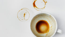 Taches de café et personnalité