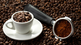 Café en grains vs café moulu : Découvrez la meilleure option pour savourer votre tasse parfaite !